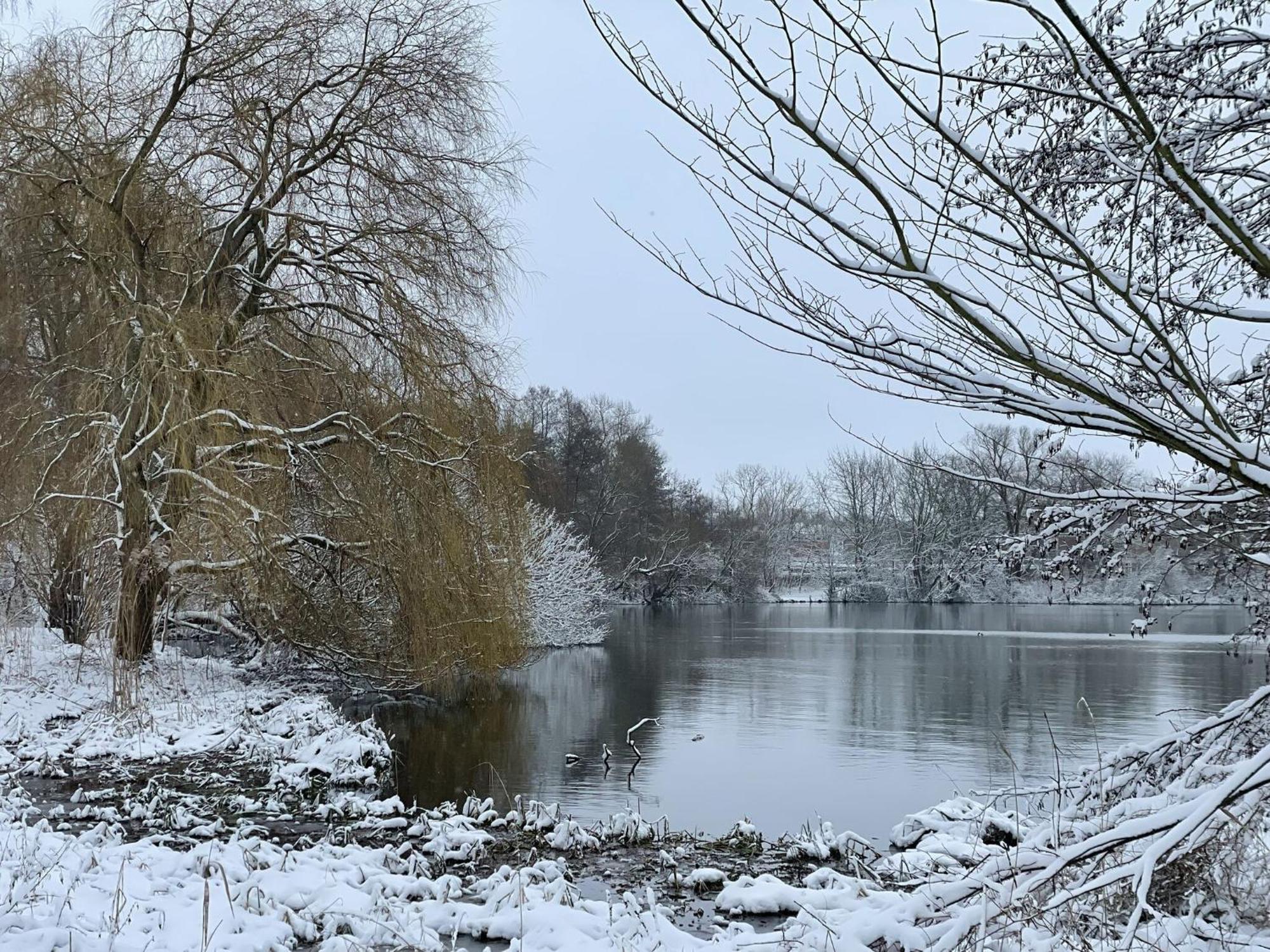 Flat In Eutin On The Kleiner Eutiner See Lake Ngoại thất bức ảnh
