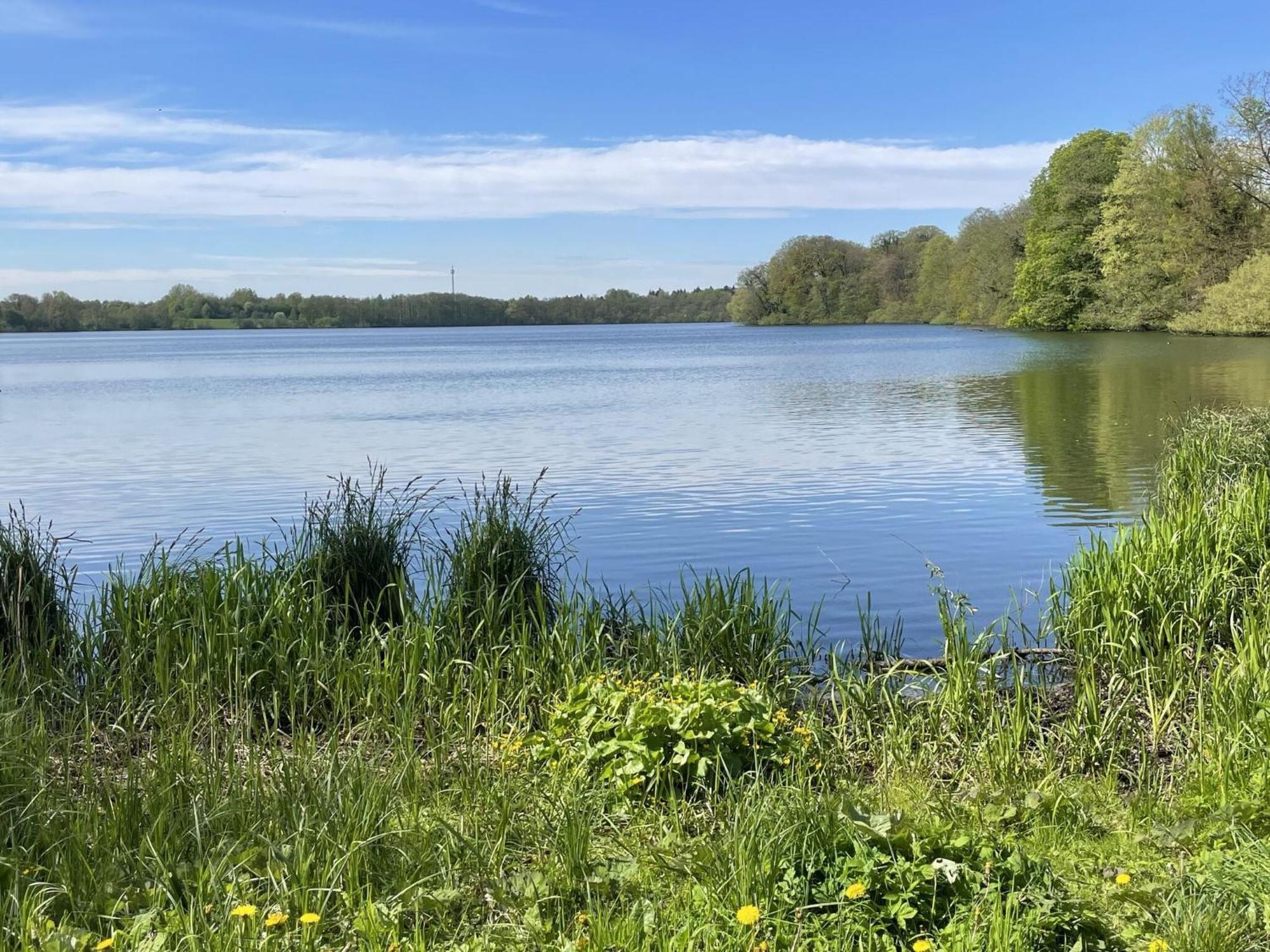 Flat In Eutin On The Kleiner Eutiner See Lake Ngoại thất bức ảnh